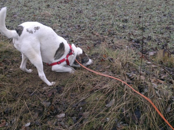 med_+notfalls mit Gewalt.jpg (600 x 450)